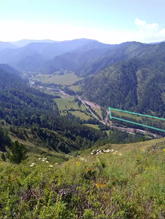 Участок в Алтай, Чемальский район, Ареда урочище 6 (430.0 сот.) - Фото 1