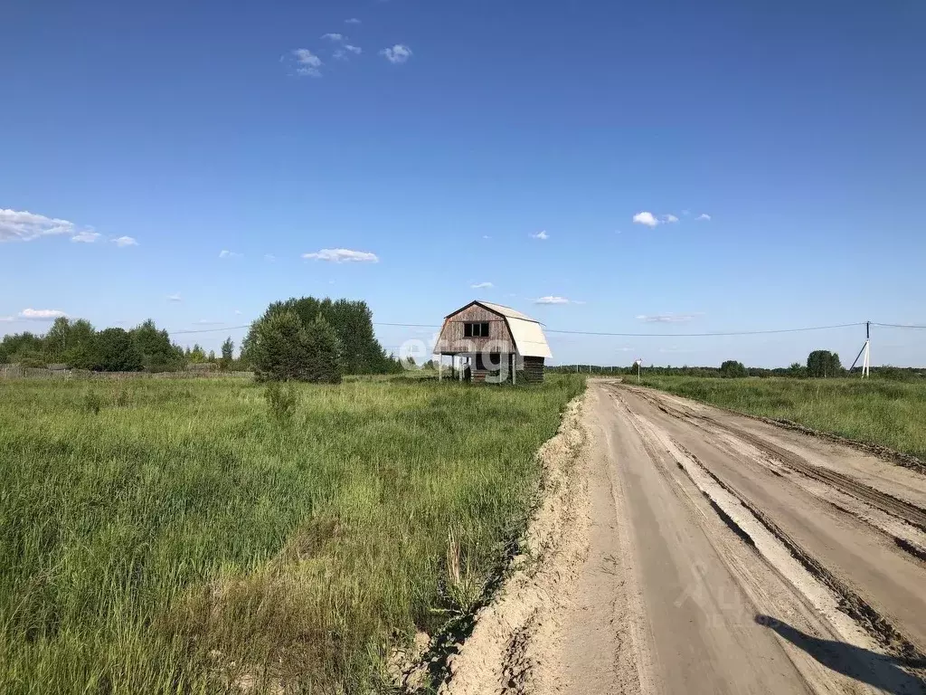 Участок в Тюменская область, Нижнетавдинский район, Здоровье-3 СТ  ... - Фото 1