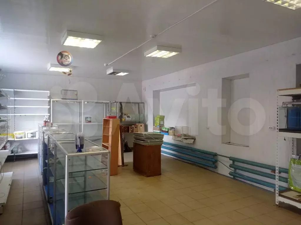 Продам помещение свободного назначения, 53.6 м - Фото 1