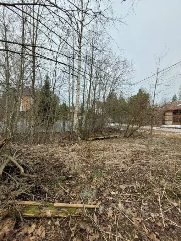 Участок в Ленинградская область, Всеволожский район, д. Юкки ул. ... - Фото 2