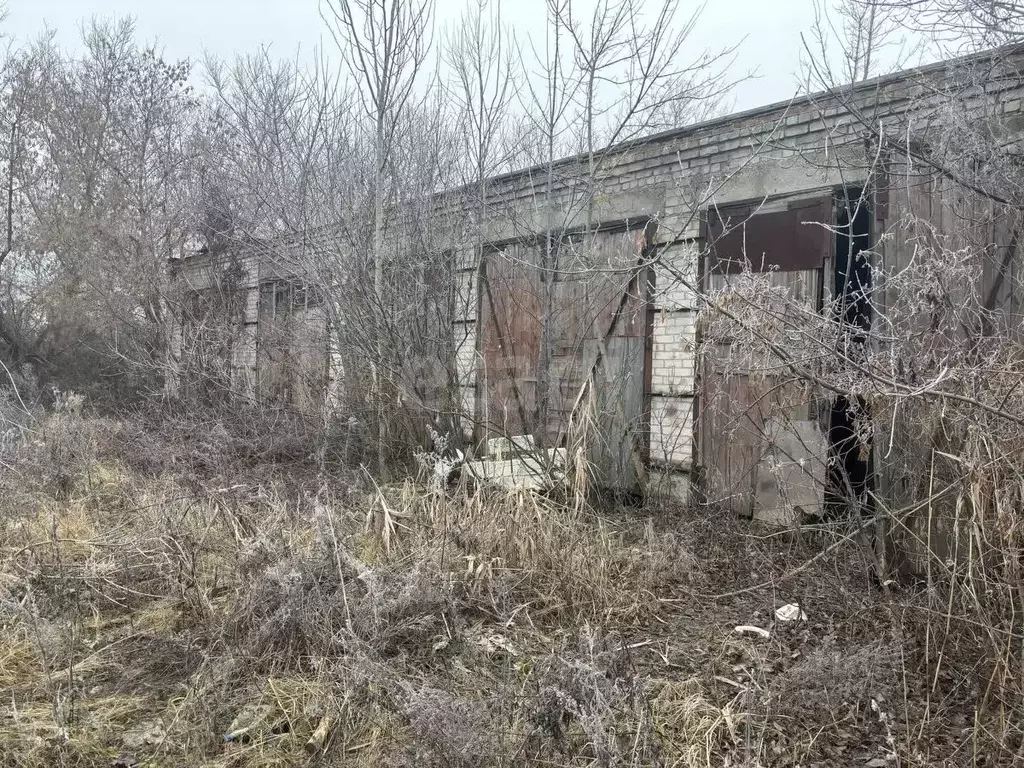 Помещение свободного назначения в Саратовская область, Балашов ул. ... - Фото 1