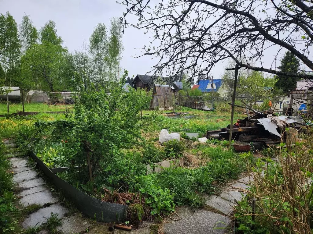Дом в Ленинградская область, Выборгский район, Рощино городской ... - Фото 2