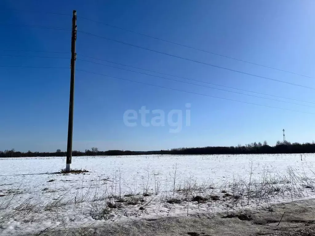 Участок в Калужская область, Перемышльский муниципальный округ, Горки ... - Фото 2