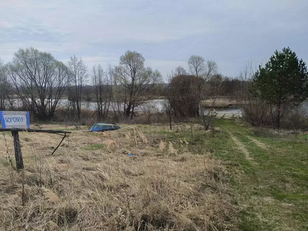Участок в Пензенская область, Кузнецкий район, д. Боровая Озерная ул., ... - Фото 2