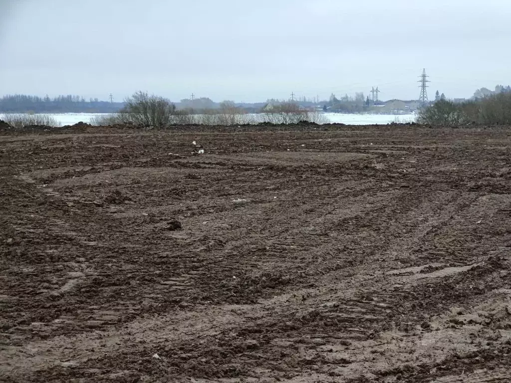 Участок в Новгородская область, Новгородский район, Савинское с/пос, ... - Фото 1