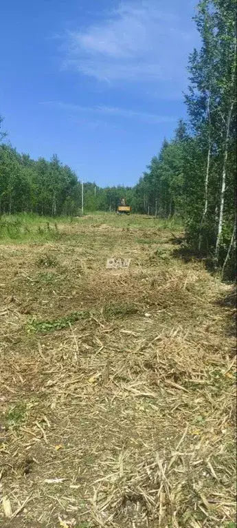 Участок в Челябинская область, Сосновский район, Кременкульское с/пос, ... - Фото 1