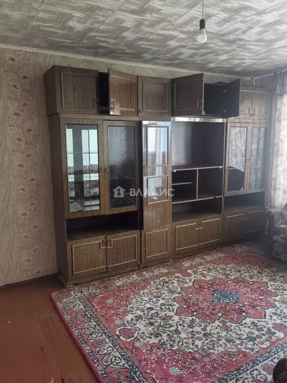 1-к кв. Владимирская область, Радужный 1-й кв-л, 17 (33.1 м) - Фото 1