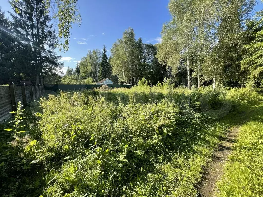 Купить Участок В Смоленске