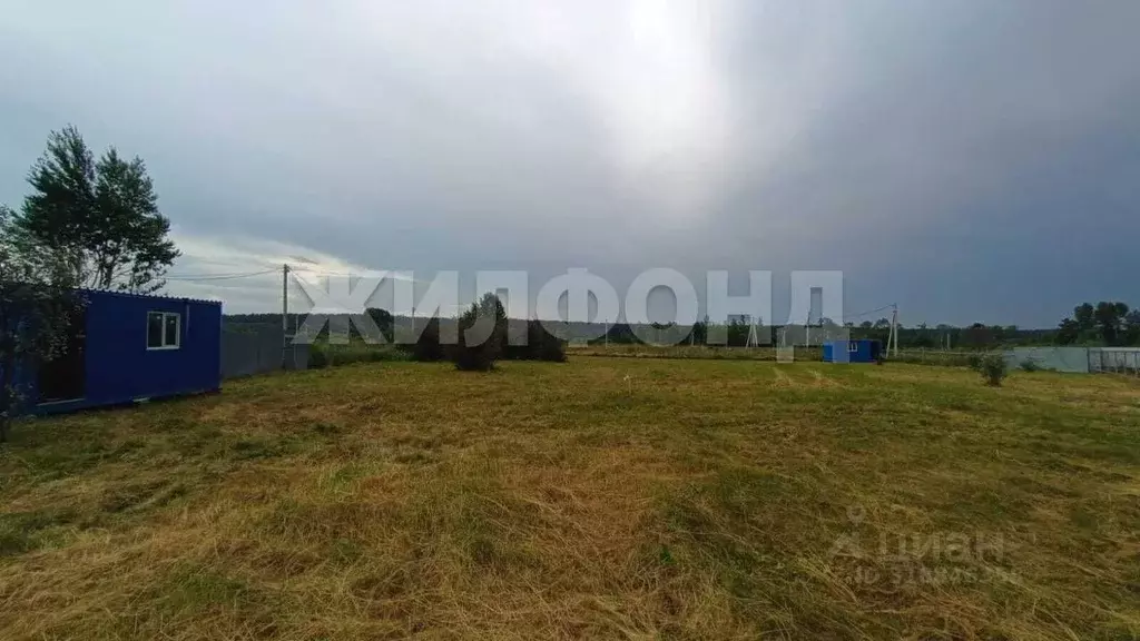Участок в Новосибирская область, Новосибирский район, с. Кубовая  ... - Фото 1
