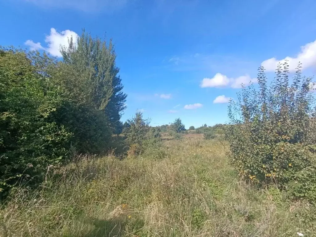 Участок в Калининградская область, Зеленоградский муниципальный округ, ... - Фото 2