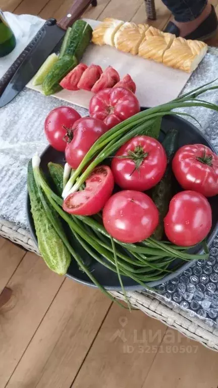 Участок в Тульская область, Богородицк Шахтная ул., 55 (7.0 сот.) - Фото 1