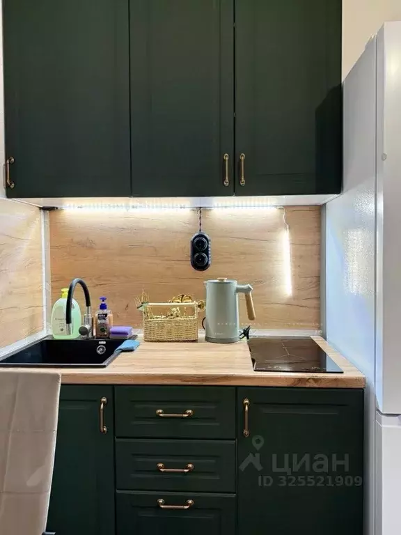 Студия Санкт-Петербург ул. Пахомовская, 14к2 (21.0 м) - Фото 2