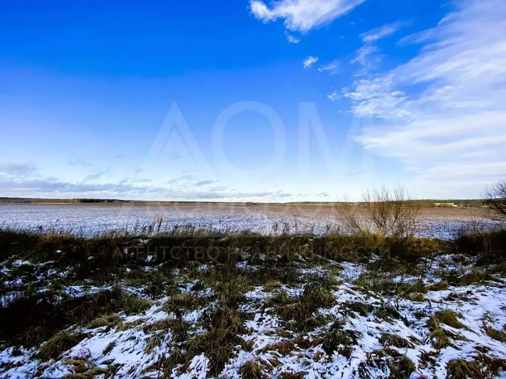 Участок в Ленинградская область, Приозерский район, Запорожское с/пос, ... - Фото 1
