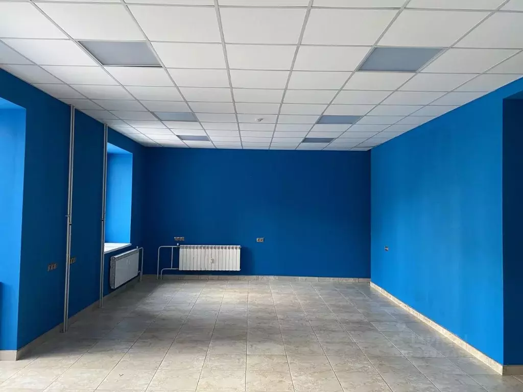 Помещение свободного назначения в Алтайский край, Барнаул ул. Попова, ... - Фото 0