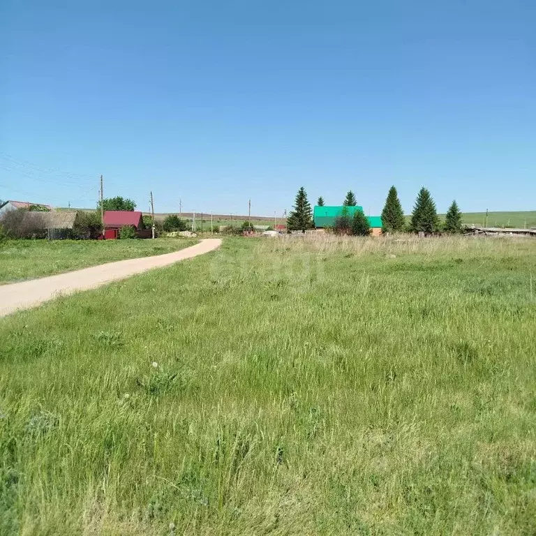 Участок в Самарская область, Похвистневский район, Старопохвистнево ... - Фото 1
