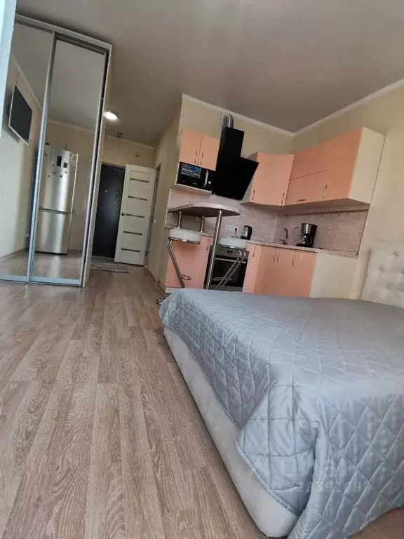 Студия Ростовская область, Ростов-на-Дону ул. Еременко (27.0 м) - Фото 2