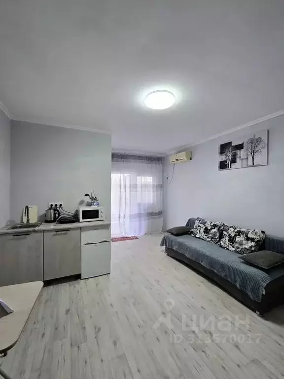 Студия Краснодарский край, Ейск Красная ул., 15 (25.0 м) - Фото 2