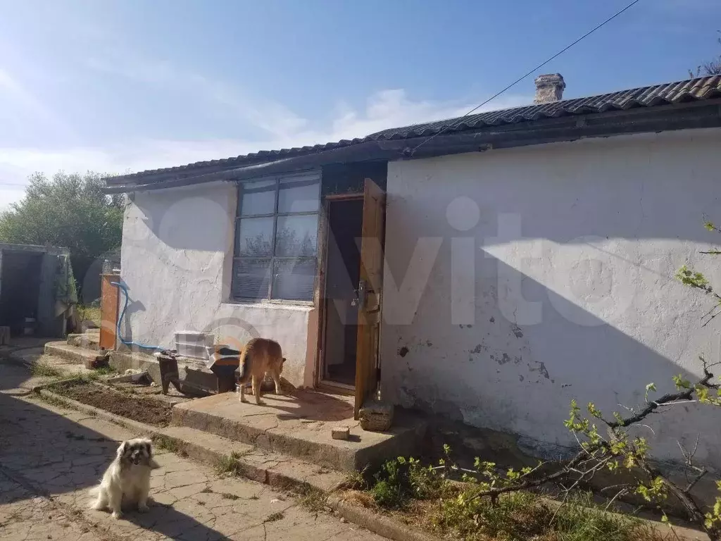Дом 57,7 м на участке 10,6 сот. - Фото 1