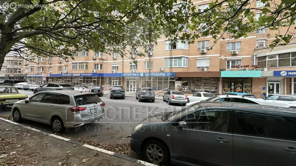 Помещение свободного назначения (240 м) - Фото 2