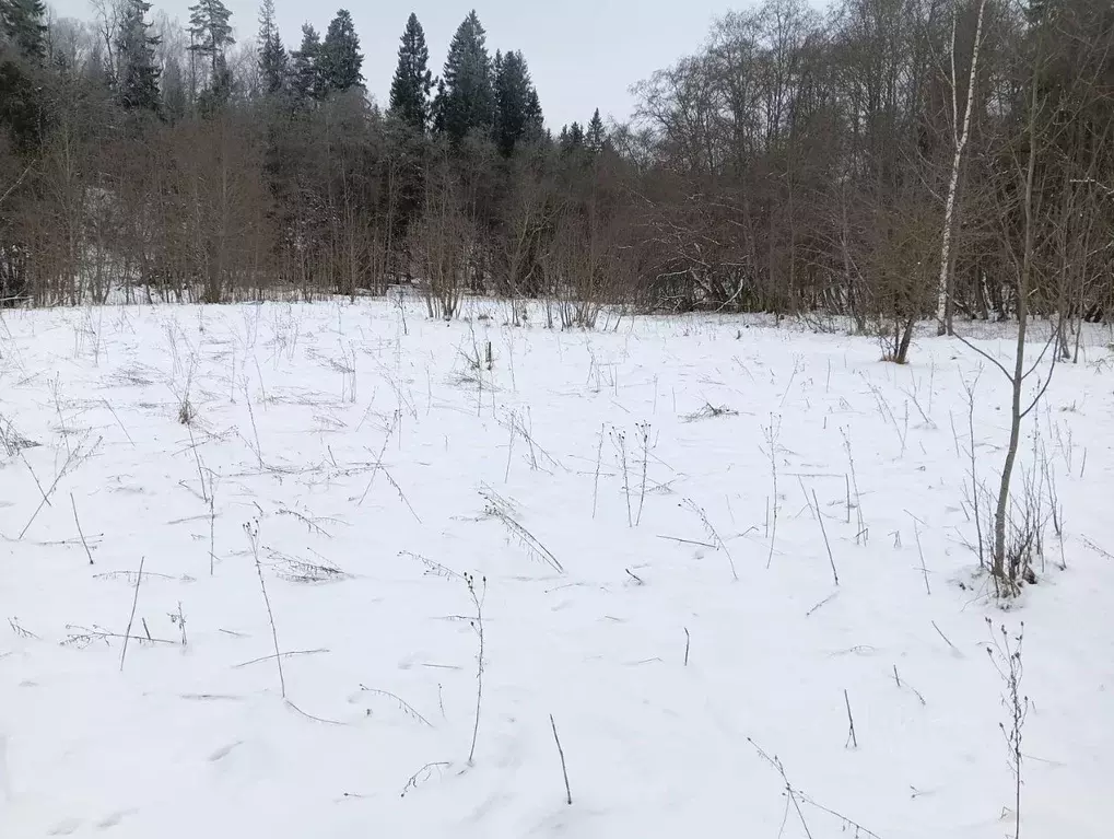 Участок в Московская область, Клин городской округ, д. Ногово  (13.17 ... - Фото 1