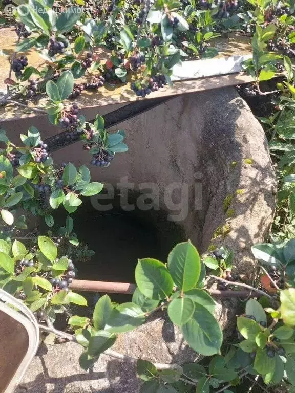 Дом в Рыбинск, СНТ Звезда (15 м) - Фото 1