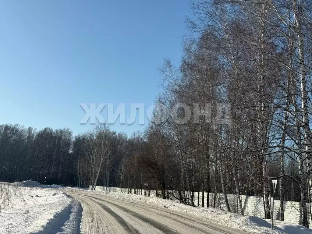 Участок в Новосибирская область, Кольцово рп  (87.99 сот.) - Фото 2