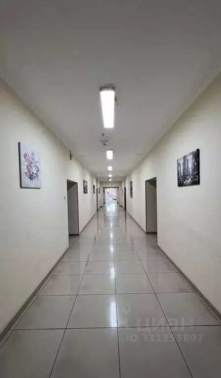 Офис в Краснодарский край, Сочи Пластунская ул., 47А (15 м) - Фото 1