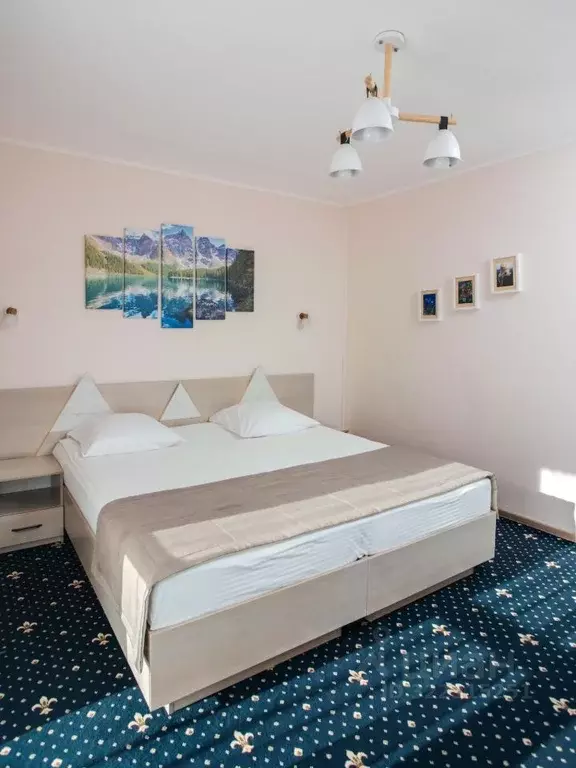 Комната Алтай, Чемальский район, с. Чемал Уожанская ул., 58 (15.0 м) - Фото 2