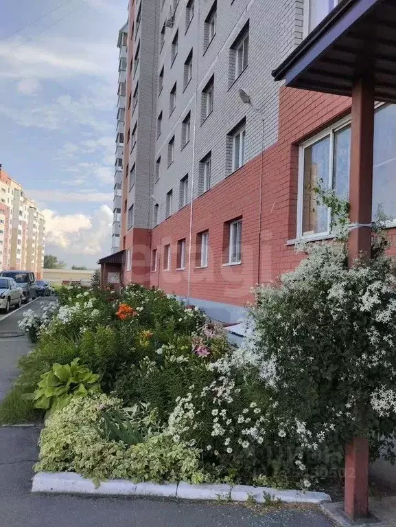 2-к кв. Алтайский край, Новоалтайск ул. Ушакова, 12 (48.1 м) - Фото 1