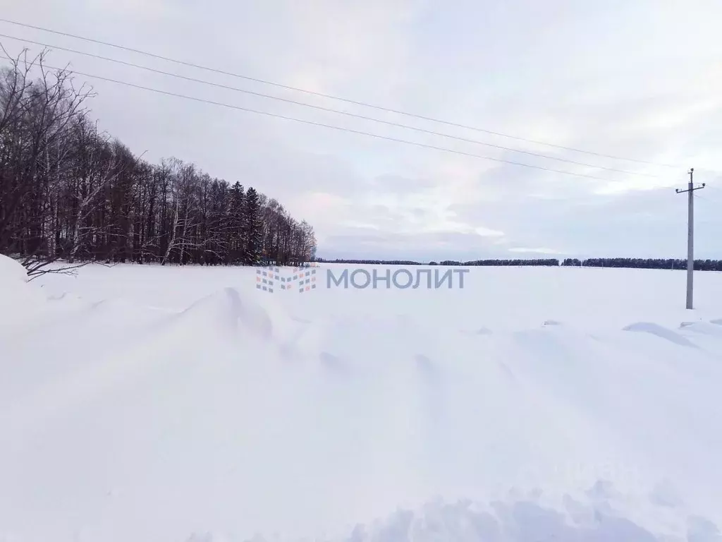 Участок в Нижегородская область, Богородский муниципальный округ, с. ... - Фото 0