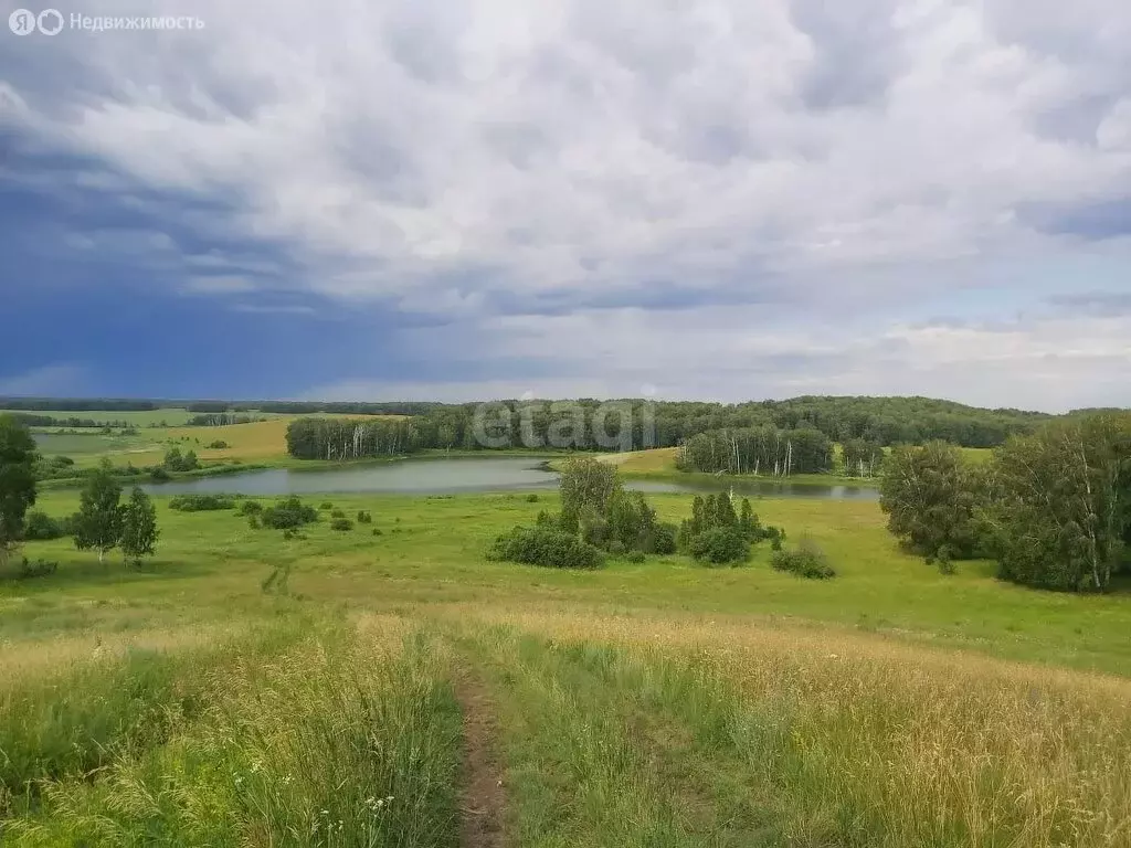 Участок в Ордынский район, посёлок Петровский (1690 м) - Фото 0