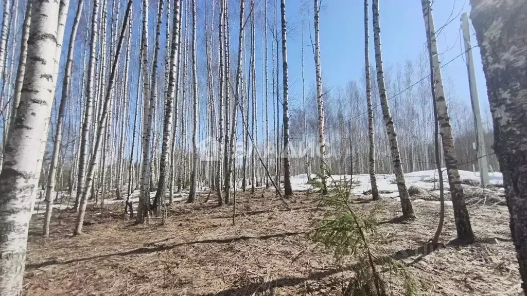 Участок в Владимирская область, Владимир ул. 2-я Сорокинская (10.62 ... - Фото 1