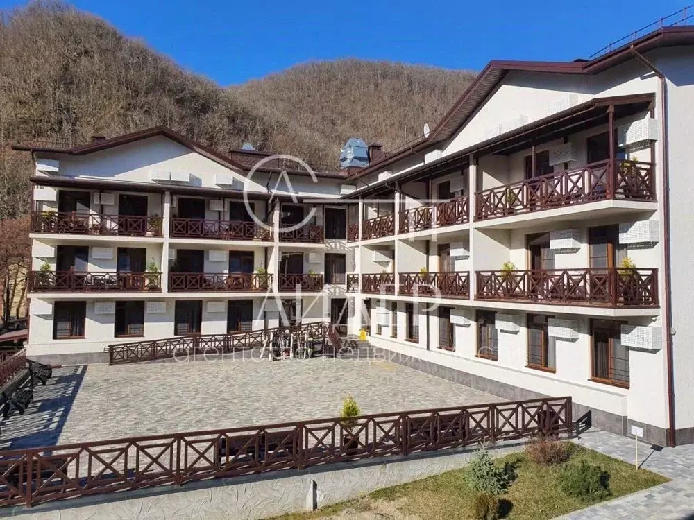 2-к кв. Краснодарский край, Сочи Красная Поляна пгт, ул. Ачишховская, ... - Фото 2