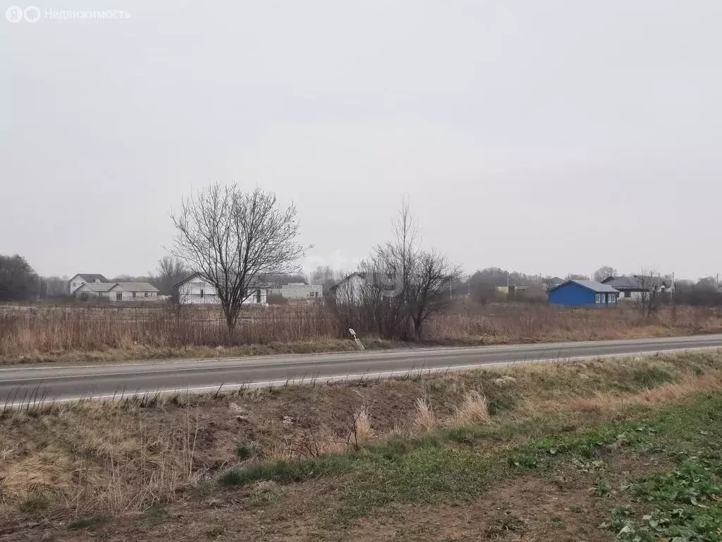 Участок в Калининградская область, Гурьевский муниципальный округ, ... - Фото 1