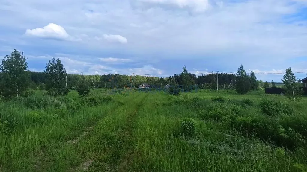 Участок в Нижегородская область, Богородский муниципальный округ, ... - Фото 1
