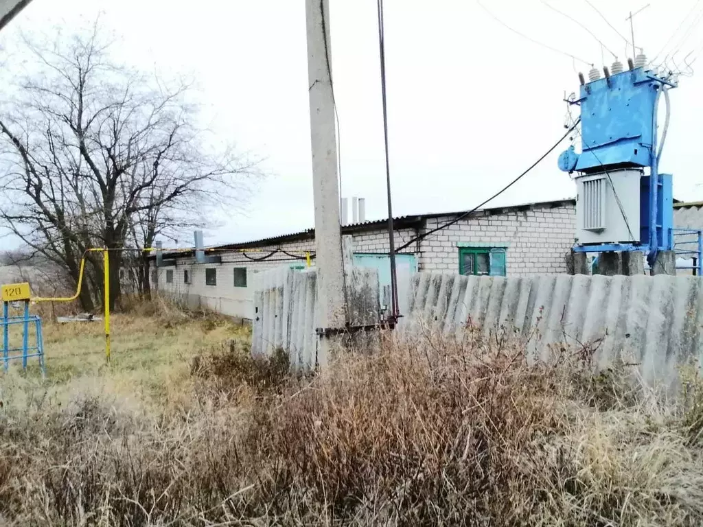 Производственное помещение в Белгородская область, Алексеевский ... - Фото 2
