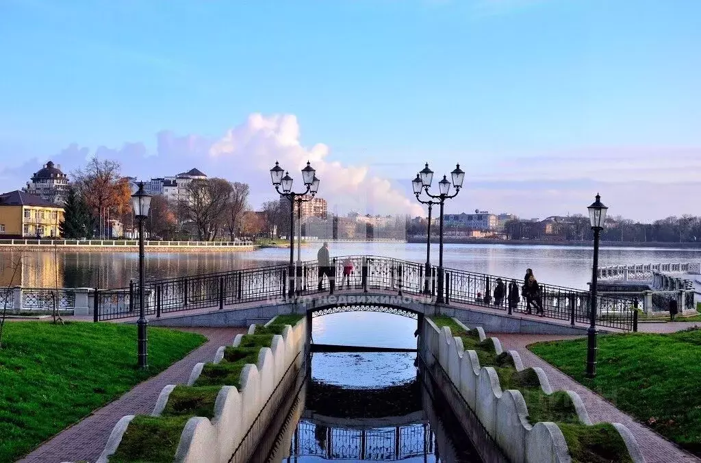 2-к кв. Калининградская область, Калининград ул. Грибоедова, 8А (40.0 ... - Фото 1