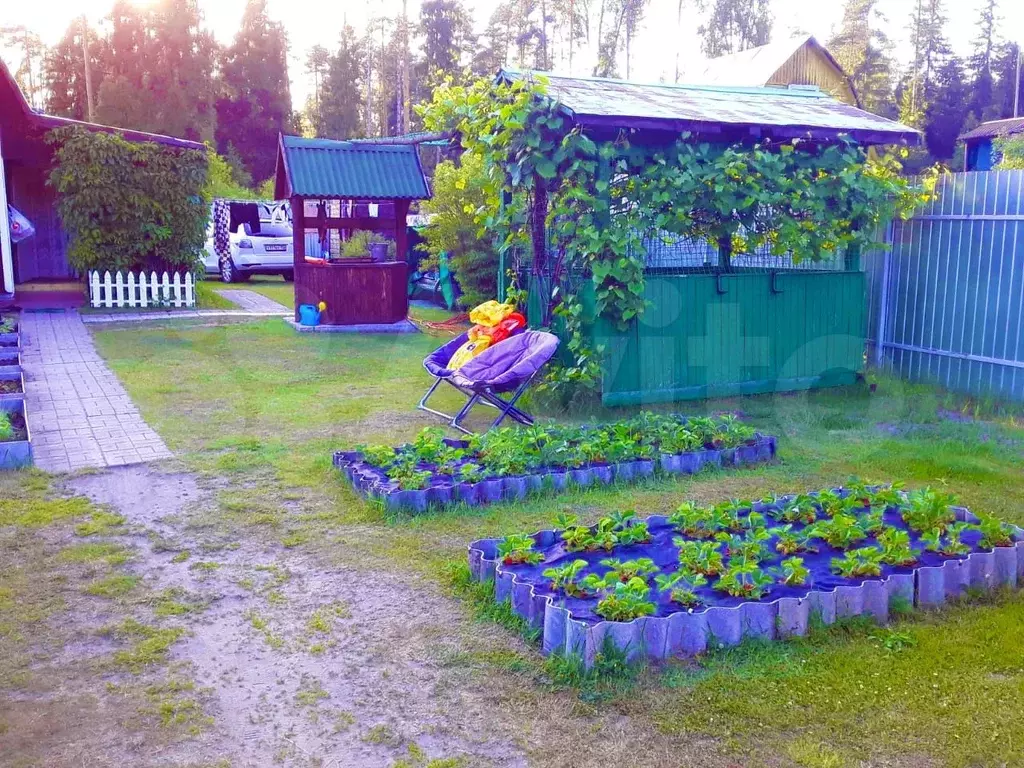 Дачная 37. СНТ бабенки Богородский городской округ.