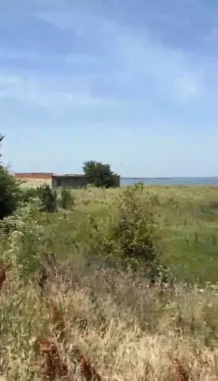 Участок в Краснодарский край, Темрюкский район, Запорожское с/пос, ... - Фото 1