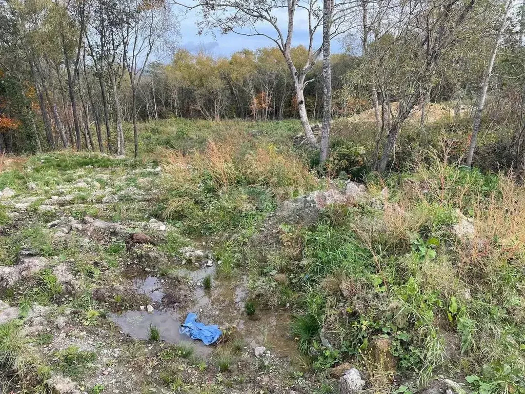 Участок в Сахалинская область, Анивский городской округ, с. Троицкое  ... - Фото 1