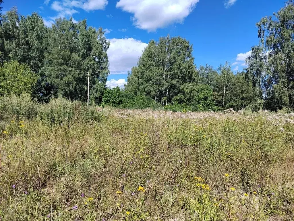 Участок в Костромская область, Судиславский район, пос. Березовая роща ... - Фото 0