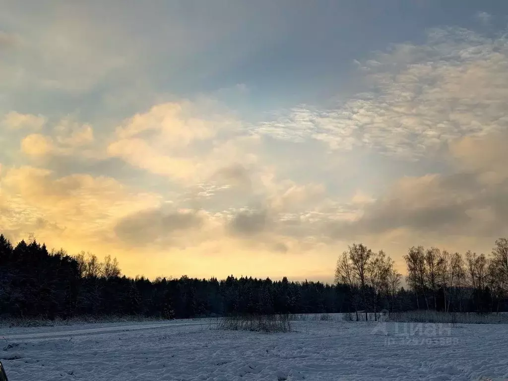 Участок в Московская область, Пушкинский городской округ, Софрино пгт  ... - Фото 1