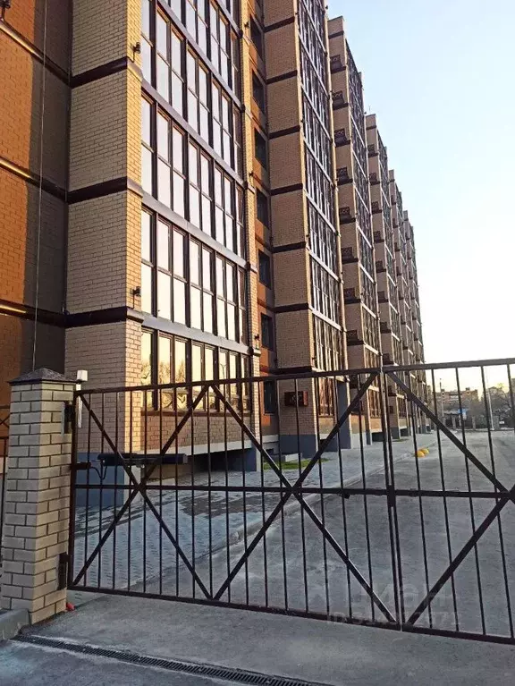 Студия Амурская область, Благовещенск Литейная ул., 95 (38.9 м) - Фото 2