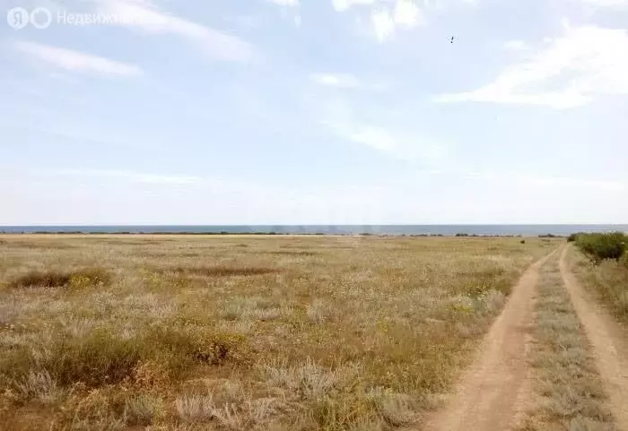 Участок в Окунёвское сельское поселение, Новая улица (4.46 м) - Фото 2