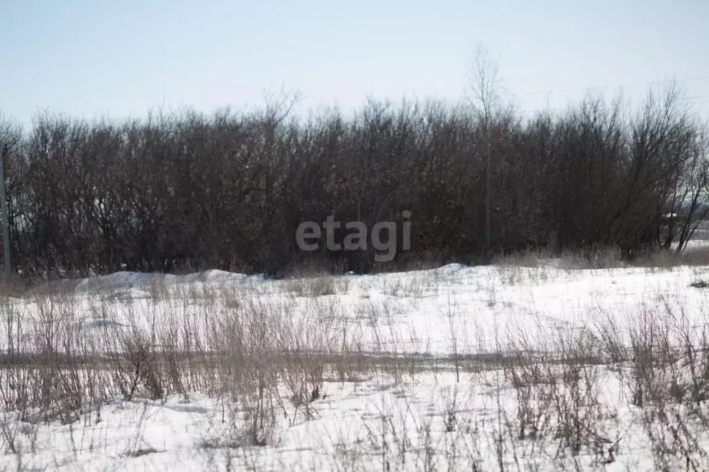 Участок в Пензенская область, Бессоновский район, Волна СНТ  (6.0 ... - Фото 1