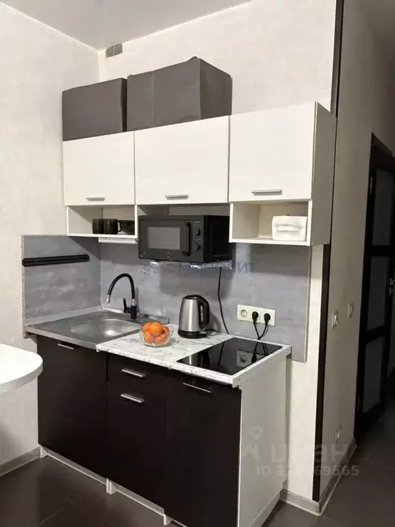 Студия Нижегородская область, Нижний Новгород д. Афонино, ул. Красная ... - Фото 1