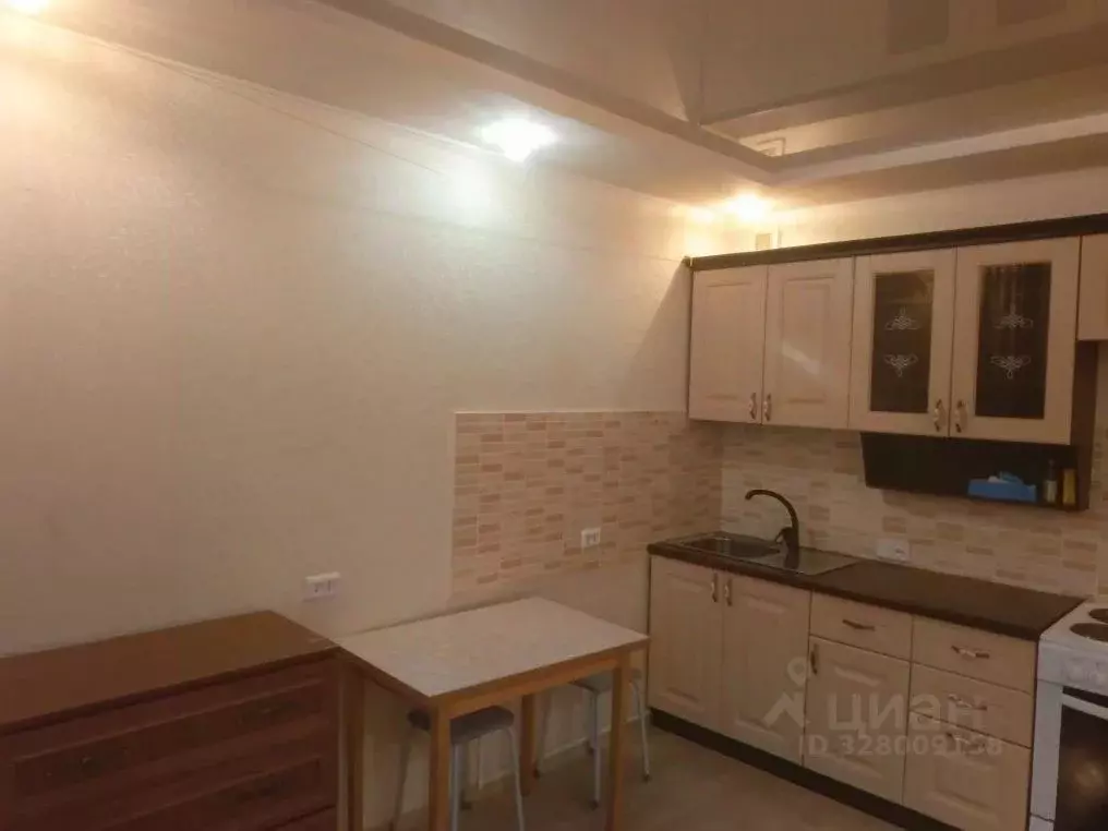 Студия Новосибирская область, Бердск ул. Кристальная, 4 (20.0 м) - Фото 2