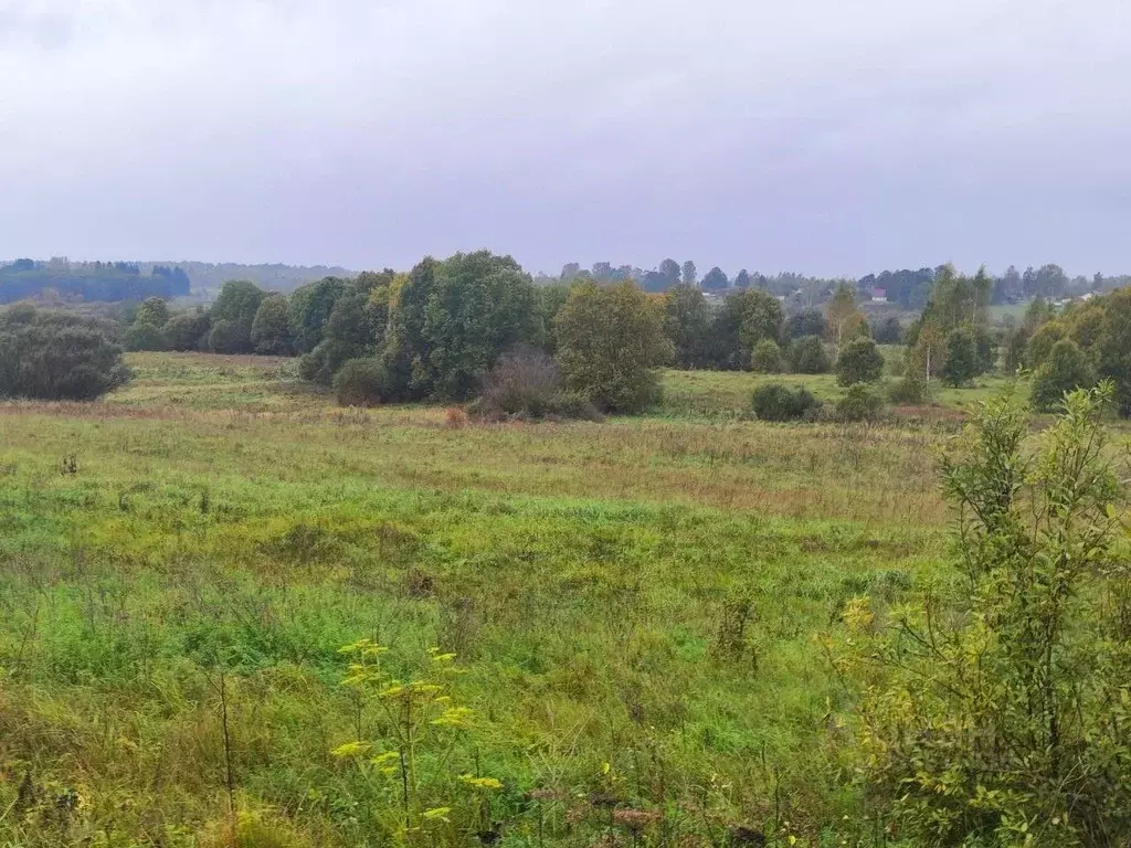 Участок в Новгородская область, Солецкий муниципальный округ, д. ... - Фото 0