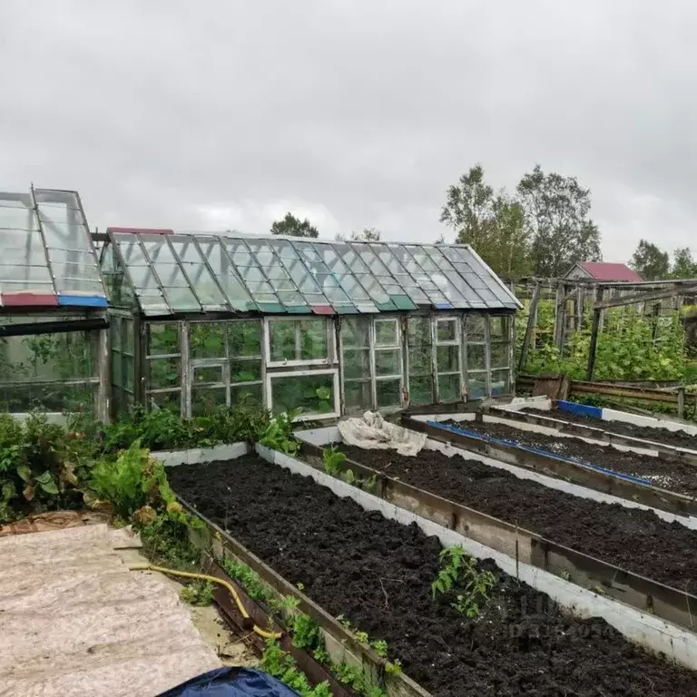 Дом в Сахалинская область, Южно-Сахалинск Кооператор ДНТ, ул. ... - Фото 1