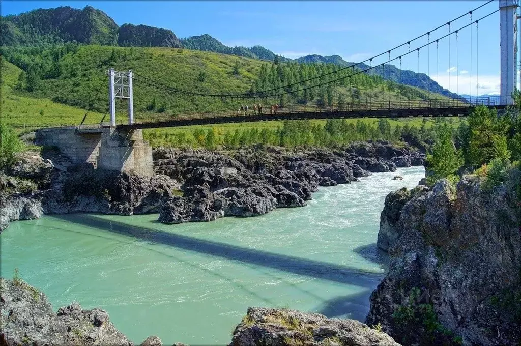 Участок в Алтай, Чемальский район, с. Ороктой ул. Новая (100.0 сот.) - Фото 1